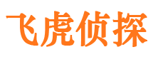 廉江外遇出轨调查取证